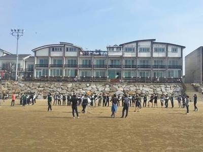 글작성 신두리 마로니에펜션