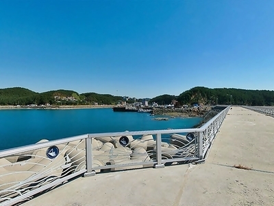 모항항