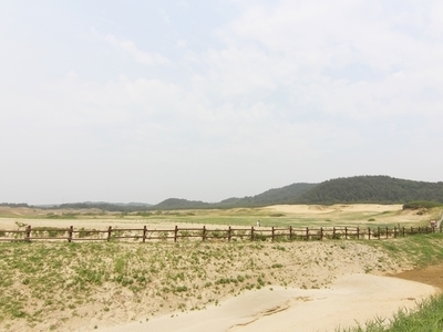 신두리 마로니에펜션